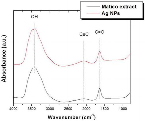 Figure 5. Fourier transform infrared (FTIR) spectra of B. globosa extract and biosynthesized Ag NPs.
