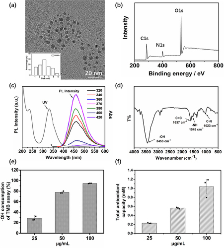 Figure 1 Characterization of NGQDs and their antioxidant capacity. (a) HRTEM image of NGQDs (Inset: the size distribution of NGQDs); (b) XPS full survey of NGQDs; (c) the UV‒Vis and photoluminescent spectrum of NGQDs; (d) the FT-IR spectrum of NGQDs; (e) the ·OH consumption capacity of NGQDs; (f) the total antioxidant capacity of NGQDs.