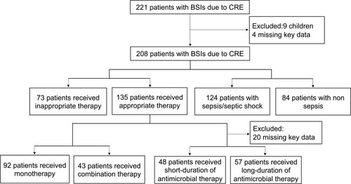Figure 1 Flow chart of included patients with BSIs infected by CRE.