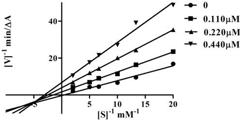 Figure 2. Kinetic study on the mechanism of eeAChE inhibition by compound w18. Overlaid Lineweaver–Burk reciprocal plots of AChE initial velocity at increasing substrate concentration (0.05–0.50 mM) in the absence of inhibitor and in the presence of w18 are shown. Lines were derived from a weighted least-squares analysis of the data points.