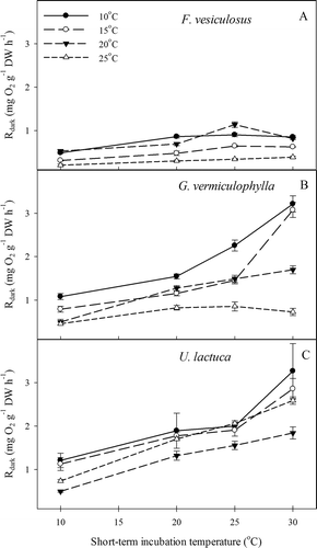 Fig. 5 Experiment II: Dark respiration rates of short-term incubations to different long-term acclimation temperatures of (A) F. vesiculosus; (B) G. vermiculophylla and (C) U. lactuca. Errors are SE, N = 4.