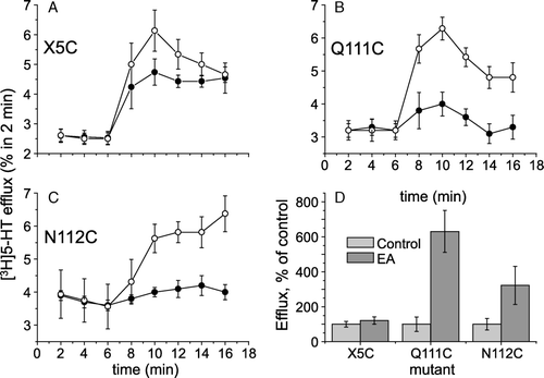 Figure 9.  Effect of MTSEA on [3H]5-HT efflux induced by extracellular 5-HT. Representative efflux experiments of X5C-SERT (panel A; n=6–7), Q111C-SERT (panel B; n=5–13, all experiments performed in triplicate) and N112C-SERT (panel C; n=10–11) stably expressed in HEK293 cells. Cells were grown on glass coverslips and preloaded with tritiated serotonin for 20 min in the presence (open symbols) or absence of MTSEA (2.5 mM; filled symbols). After a subsequent wash step, coverslips were transferred to small superfusion chambers and superfused (for details, see ‘Materials and methods’). The experiment was started after a 45 min washout period at t = 0 with the collection of superfusate in 2-min fractions. 5-HT (10 µM) was added to the superfusion buffer after 6 min. The collected radioactivity was counted and is expressed as a fractional efflux rate, i.e., as a percentage per 2 min of the cellular [3-H]5-HT content at that very time point. Baseline efflux was adjusted for more accurate comparison between control and MTSEA-treated cells. Panel D summarizes the integrated effects of 5-HT treatment in the presence or absence of MTSEA (as indicated) with subtraction of baseline efflux levels.