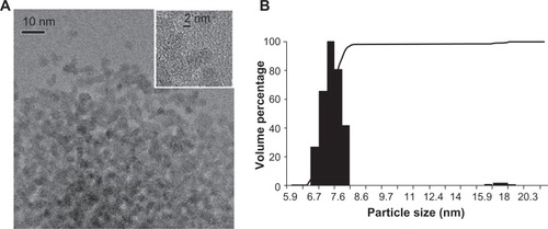 Figure 1 Ceria ENM morphology. (A) Ceria ENM imaged using TEM. The insert at the top right shows the crystallinity of the ceria ENM. (B) Volume-based particle size distribution for ceria ENM of a representative batch of ceria aqueous dispersion.Abbreviations: ENM, engineered nanomaterial; TEM, transmission electron microscopy.