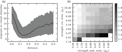 Figure 7. The network reproduces principles of natural multisensory integration on the neurophysiological level: (a) depression and spatial principle. Strength of response to visual stimulus as a function of distance of auditory stimulus. (b) Enhancement and inverse effectiveness. Strength of response to (congruent) cross-sensory stimulus divided by strength of response to visual-only stimulus. White cells in lower right: response to auditory stimulus is stronger than to visual response (no enhancement of visual stimulus).