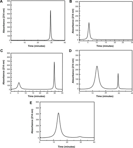Figure 1 HPLC comparison of paclitaxel, SAMTA7, and the SAMTA7-paclitaxel combination mixed in different ratios.