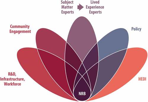 Figure 1. National Research Blueprint Working GroupsHEDI: health equity, diversity, and inclusion; NRB: National Research Blueprint; R&D: research and development.
