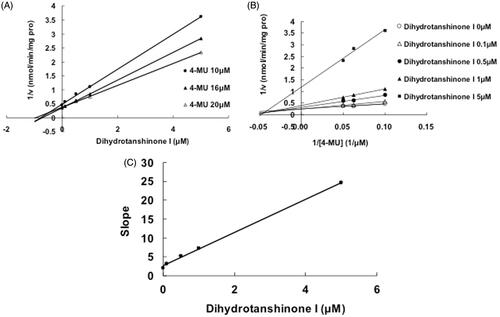 Figure 5. Inhibition of UGT1A9-mediated 4-MU glucuronidation reaction by dihydrotanshinone I. (A) Dixon plot of inhibitory effects of dihydrotanshinone I towards recombinant UGT1A9-catalyzed 4-MU glucuronidation. (B) Lineweaver–Burk plot of inhibitory effects of dihydrotanshinone I towards recombinant UGT1A9-catalyzed 4-MU glucuronidation. (C) Second plot of slopes from Lineweaver–Burk plot versus dihydrotanshinone I concentrations. Every data point represents the mean of two replicates.