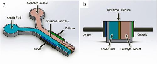 Figure 11. Schematic design of microchannel for membrane-less microfluidic microbial fuel cell: (a) top view and (b) cross-sectional view [Citation98].