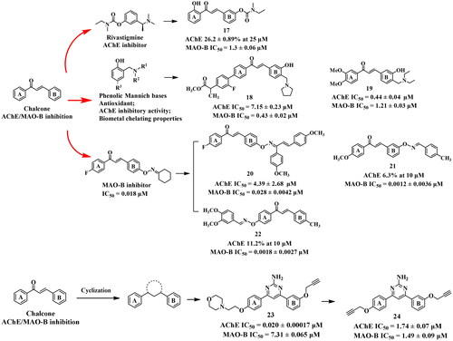 Figure 7. Structures of other chalcone-based dual inhibitors.