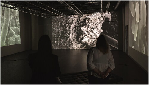 Figure 6. Photograph from Microbial Mood: Exploring How Sound Affects the Human Microbiome (2019) [three-channel video installation] by Sophia Charuhas.