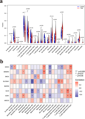 Figure 7 Immune microenvironment analysis. (a) Implemented the CIBERSORT algorithm to evaluate the abundant difference of immune cells between OM samples and healthy samples. (b) The results of immune correlation analysis indicated that both SLC38A1 and KLF2 had a strong negative correlation with macrophages M2, while SREBF2, STAT3 and EGR1 had a strong positive correlation with neutrophils. *P<0.05, **P<0.01, ***P<0.001.