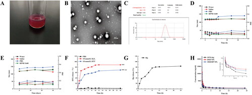 Figure 2. The appearance picture (A), TEM image (B), particle size distribution (C), physical stability (D), and long-term storage stability (E) of DSD/HP NPs. In vitro release profiles of DTX (F) and HP (G) released from DSD/HP NPs under different media. The plasma concentration time curves of DTX after intravenous injection of DTX-Inj, DSD NPs, and DSD/HP NPs at the dose of 0.01 mmol DTX/kg in rats (H) (n = 6, mean ± SD; **p < 0.01vs PBS group; ##p < 0.01vs H2O2 group).