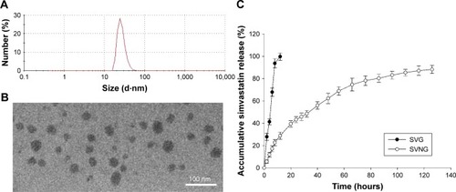 Figure 1 The characteristics of simvastatin-loaded nanomicelles.Notes: (A) The particle size of simvastatin-loaded nanomicelles was measured using a Zetasizer instrument. (B) Simvastatin-loaded nanomicelle morphology was observed with a TEM. (C) The in vitro cumulative release profiles of simvastatin from simvastatin-loaded nanomicelles using human serum albumin as a dissolution medium by a dynamic dialysis method. The simvastatin concentration was measured via HPLC at an ultraviolet absorbance of 238 nm. The results are the mean values of three independent measurements (±SD).Abbreviations: SD, standard deviation; SVG, simvastatin group; SVNG, simvastatin-loaded nanomicelles group; TEM, transmission electron microscope.