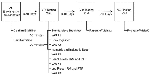 Figure 1. Overview of study timeline. Abbreviations: 1RM – one-repetition maximum, RTF – repetitions to failure, V – visit, VAS – visual analog scale.