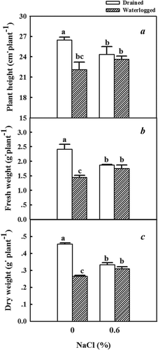 Figure 2. Effects of NaCl, waterlogging, and NaCl plus waterlogging co-stress on plant growth. (a) plant height, (b) fresh weight, (c) dry weight. Values are means ± SD (n = 5). Values in a column followed by different lowercase letters are significantly different at P ≤ 0.05 according to Duncan′s multiple range test. A) plant height was measured from the sand surface to the top of the main stem. B) fresh weight is the fresh weight of whole seedlings. C) dry weight is the dry weight of whole seedlings.