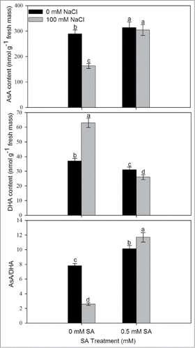 Figure 4. Content of AsA, DHA, and ratio of AsA/DHA in leaves of mustard (Brassica juncea L.) cv Pusa Jai Kisan grown with 100 mM NaCl and treated with foliar 0.5 mM SA at 30 DAS. Data are presented as treatments mean ± SE (n = 4). Data followed by same letter are not significantly different by LSD test at P < 0.05. AsA; reduced ascorbate, DHA; dehydroascorbate.