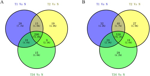 Figure 2. Venn diagram analysis of aberrantly expressed lncRNAs (A) and miRNAs (B) between T1 stage/Normal, T2 stage/Normal, T3 stage/Normal and T4 stage/Normal. T1, T2 and T3 represent the early-stage group, the mid-stage group and the late-stage group, respectively.