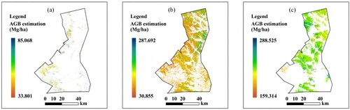 Figure 4. Biomass distribution of single variable (spectral index) for different tree species. (a) broadleaved forest; (b) mixed-species forest; (c) coniferous forest.