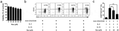 Figure 8. Resveratrol inhibits the generation of CD8+CD122+ Tregs in vitro.