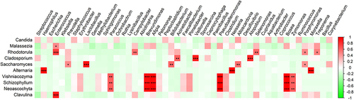 Figure 4. Spearman correlation heatmap between fungal and bacterial genera. Colors indicate the strength of the correlation as indicated by the colour bar at the right, and the stars show the significance of the correlation. *, p < 0.05; **, is p < 0.01; ***, p < 0.001.