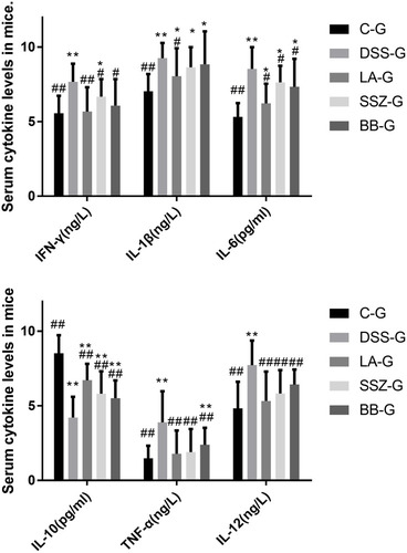 Figure 6 Inflammatory factors in serum. All the data were presented as mean ± SD (n=8). *Represents a significant difference compared with the C-G, #represents a significant difference compared with the DSS-G, *or # means p < 0.05, ** or ## means p < 0.01.