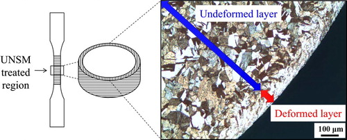 Figure 2. Optical microscopy image of UNSM-processed Cu.