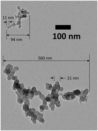 Figure 1. Typical transmission electron microscopy (TEM) image of soot from a large laboratory scale turbulent, nonpremixed flame.