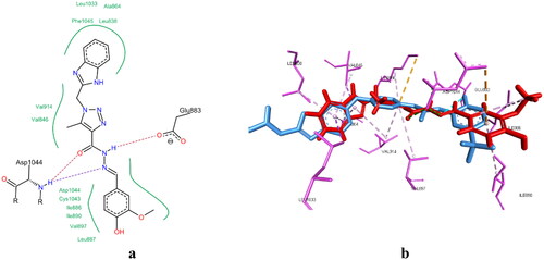 Figure 10. (a) 2D interaction of compound 6g with VEGFR-2 active site (PDB code: 2OH4). (b) Aligned conformation of compound 6g (Red) with co-crystallised ligand (Cyan) inside VEGFR-2.