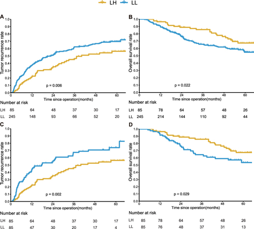 Figure 2 Kaplan-Meier analysis of recurrence and OS rates for hepatocellular carcinoma (HCC) patients who underwent LL or LH before and after PSM. (A and B) Tumor recurrence and OS rates for HCC patients who underwent LL or LH before PSM. (C and D) Tumor recurrence and OS rates for HCC patients who underwent LL or LH after PSM.