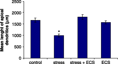 Figure 3 Mean length of apical dendrites in hippocampal CA3c neurons. N = 6 rats per group. Values represent means ± SEM. One-way ANOVA followed by Bonferroni post hoc test showed no difference between control, stress + ECS and ECS groups. Asterisk (*) denotes significant difference from control, stress + ECS and ECS rats (p < 0.01).