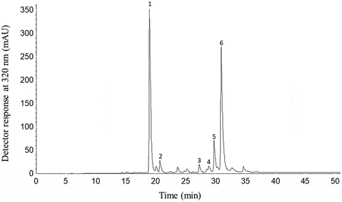 Figure 2. HPLC-DAD chromatogram of phenolic compounds of Eryngium foetidum L. leaves. Chromatographic conditions: see text. Peak characterization is given in Table 2. Peak identification: 1: Chlorogenic acid; 2: Feruloylquinic acid; 3: Quercetin glucuronide; 4: Luteolin hexoside; 5: Luteolin glucuronide; 6: Ferulic acid derivative.