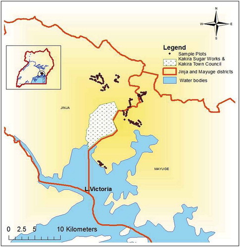 Figure 1. Study area showing the 120 sampling sites (·) within a radius of 21 km from Kakira Sugar Works Limited in the commercial sugarcane cultivation villages of Jinja and Mayuge districts, eastern Uganda.