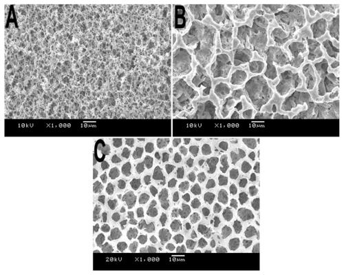Figure 4 SEM images of PLA scaffolds prepared with various types of ventilation. A) Hermetic environment, B) open environment without air, and C) open environment with ventilated pumping equipment.Abbreviations: PLA, poly(d,l lactic acid); SEM, scanning electron microscope.