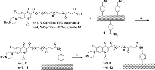 Scheme 4 Functionalization of SWCNTs with N-CiproBoc-TEG-succinate 3 or N-CiproBoc-HEG-succinate 10. (a) 1-(3-Dimethylaminopropyl)-3-ethylcarbodiimide, diisopropylethylamine, dichloromethane, 20 h; (b) trifluoroacetic acid, dichloromethane, 21 h.Abbreviations: HEG, hexaethylene glycol; SWCNT, single-walled carbon nanotubes; TEG, triethylene glycol.