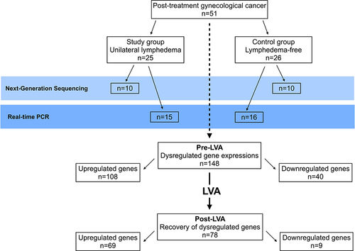 Figure 1 Summary. Fifty-one women with post-treatment gynecological cancer, including those with unilateral lymphedema (study group, n=25) and those without (control group, n=26). Venous blood samples obtained from the study group before and after LVA and those from the controls were sent for next-generation sequencing, which was validated by real-time PCR. Before LVA, 148 dysregulated genes were identified by NGS. Compared to the controls, 108 and 40 up- and downregulated genes were detected, respectively. After LVA, expression of 78 of the genes was restored to near baseline levels. Of these, 69 had been upregulated (63 protein coding genes, six non-coding genes) and nine had been downregulated.