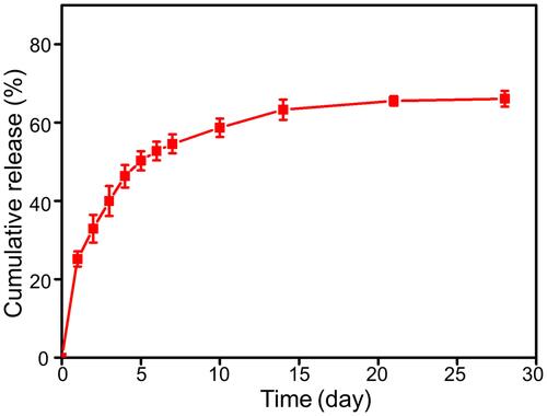 Figure 2 Cumulatively released IFX amount at each time point from hydrogel for 28 days.