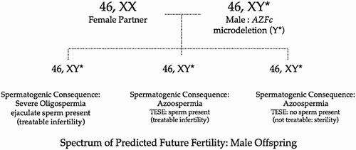 Figure 2.  AZFc microdeletion: vertical transmission to all male offspring.