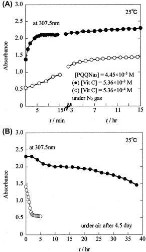 Fig. 5. Formation of PQQH2 due to the reaction of PQQNa2 with Vit C, and decay of PQQH2 in the presence of air.