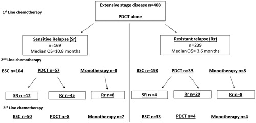 Figure 1. Treatment patterns for patients with extensive disease treated with platinum-doublet chemotherapy (PDCT alone).