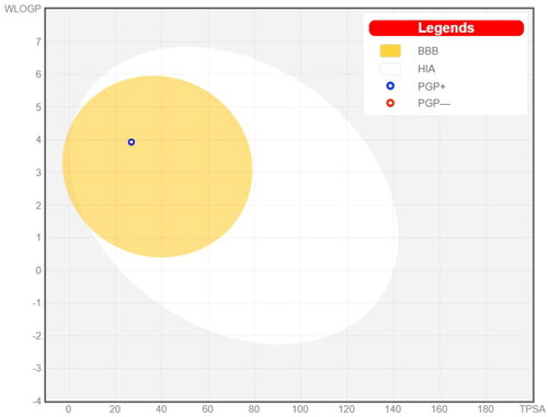 Figure 10. Prediction of BBB permeability (SwissADME webserver).