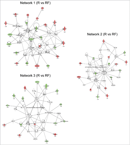 Figure 4. Network analysis obtained from Ingenuity Pathway Analysis (IPA) of aberrantly (p ≤ 0.05) regulated proteins between recurrence (R) and recurrence-free (RF) patients. Official gene symbols and relative expression values for each protein are depicted. For detailed information on aberrantly regulated proteins see Table S3.