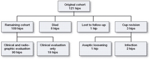 Figure 2. Distribution of hips at final follow-up.