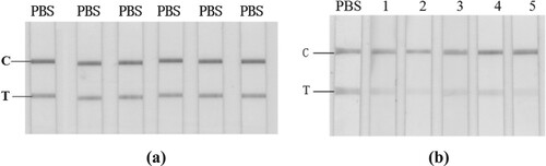 Figure 1. GICA results for PBS (a) and crude extracts of different negative fish samples (b). From left: PBS; 1, Scophthalmus maximus; 2, Cyprinus carpio; 3, Siniperca chuatsi; 4, Aristichthys nobilis; 5, Ctenopharyngodon idella.