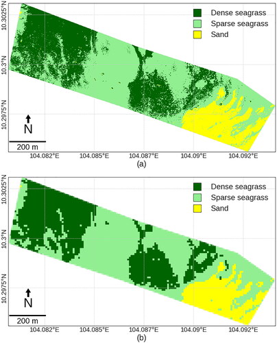 Figure 5. (a) The classification of the orthomosaic, and (b) the downsampled classification result of the UAV images.