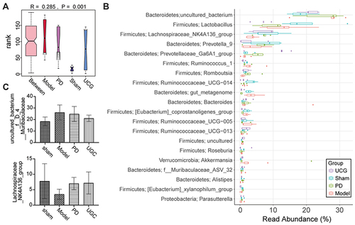 Figure 5 UCG improved the relative abundance of some gut microbiota in ESRD rats (β diversity).