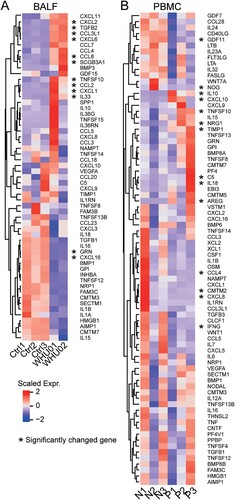 Figure 4. Inflammatory cytokines expression in COVID-19 patients. Heat map depicting inflammatory cytokine genes expression in COVID-19 patients BALF (A, WHU01-02 vs. Ctrl1-3) and PBMC (B, P1-3 vs. N1-3) compared with control. Genes significantly up-regulated and down-regulated are labelled with asterisks.