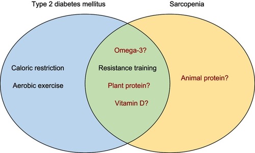 Figure 1 Lifestyle interventions for type 2 diabetes mellitus and sarcopenia.