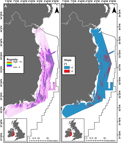 Figure 2. Parameters derived from bathymetric data: (A) rugosity and (B) slope greater than significant gradient threshold (i.e. > 5°).