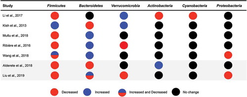 Figure 2. Gut bacterial phyla associated with exposure to air pollutants in animal and human studies.