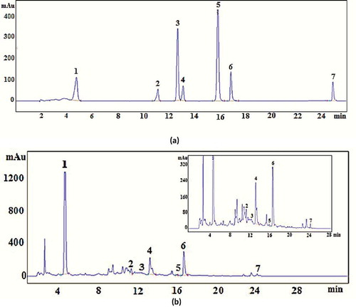 Figure 3. HPLC Chromatograms (280 nm) of: A: synthetic solution of standards (50 µg/mL), B: Jamun seed extract obtained under optimal condition. (1) Gallic acid; (2) Catechin; (3) Epicatechin; (4) Caffeic acid; (5) p-coumaric acid; (6) Ellagic acid; (7) Quercetin.